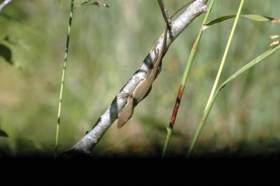 624NABAboerne 049cibolo.jpg