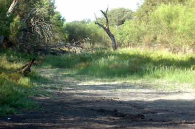 626cooks 047drought.jpg