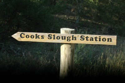 78cooks 046picnic area.jpg
