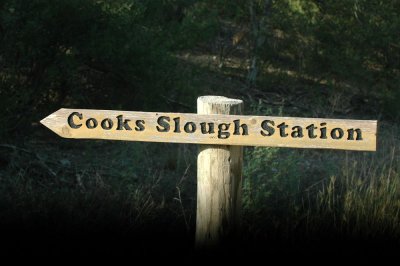 78cooks 047picnicarea.jpg
