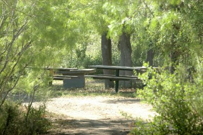 79cooks79 074oldpicnicareaOnSlough.jpg