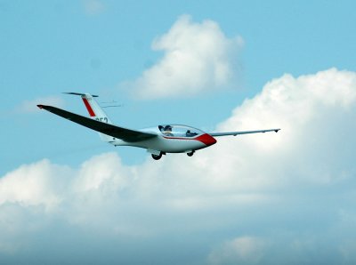 87gliders 192gliderszzzzzzzzz.jpg