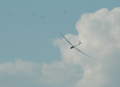 87gliders 350gliderszz.jpg