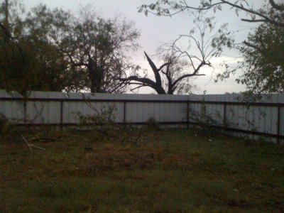 1115stormDamage 015stormpics.jpg