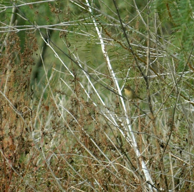 g4/63/778763/3/139811676.Bs3y8EWB.jpg