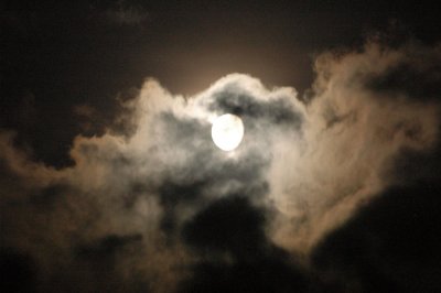 49neals 001migrationmoon.jpg