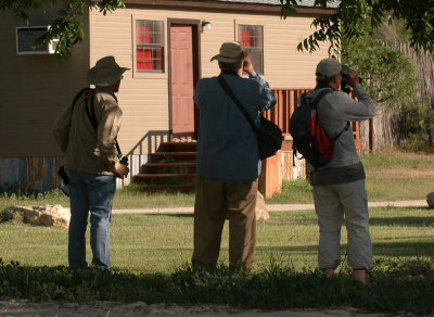 422nealsCooks 023birders.jpg