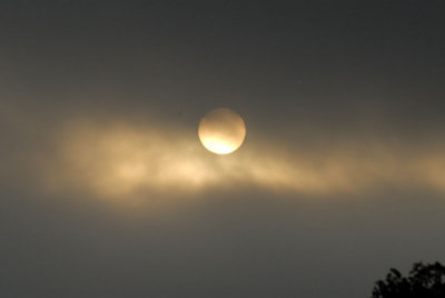 68lovecreekbutterfly 005sunrise in clouds.jpg