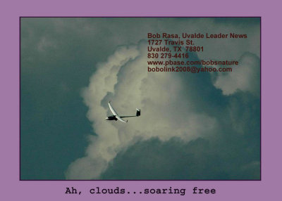 731Glidersah clouds and flying free copy.jpg