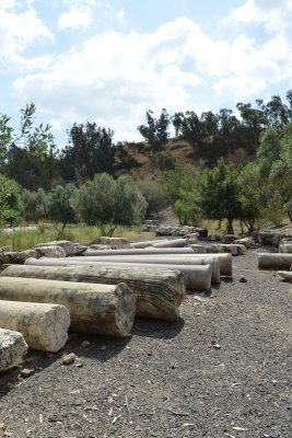 Columns in Storage