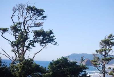 Highway 101 Viewpoint