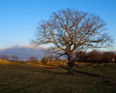 Virginia Winter Countryside - 2012.jpg