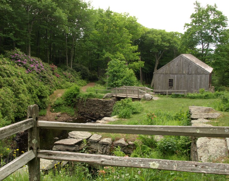 Summer Mill