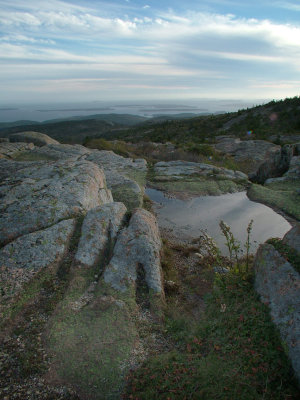 On top of Cadillac Mt.