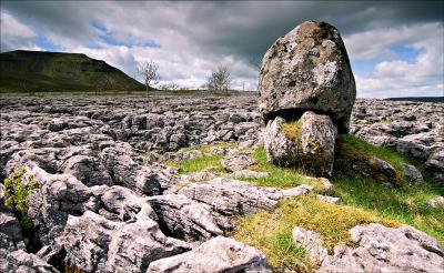 Limestone Pavement