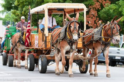 Motorless Parade_6.jpg