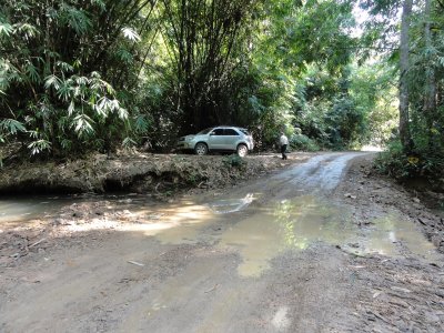 Jungle trail in Kaeng Krachen.jpg