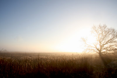 hickling sunrise