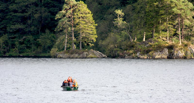 Island in loch Ard.JPG