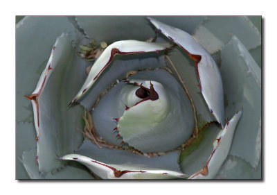 P1200836