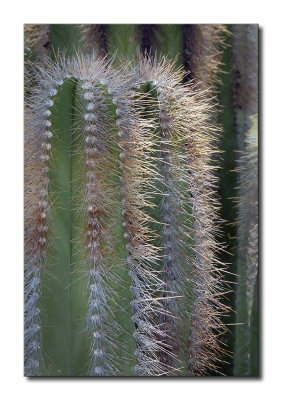 P1210055
