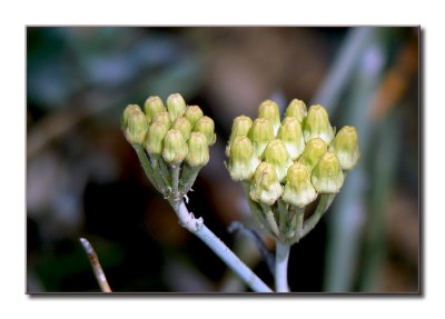 P1200968