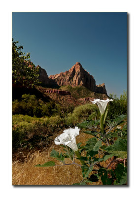 P1220284