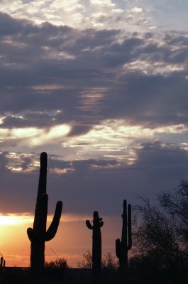 P1230975