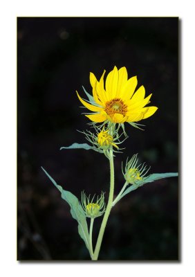 P1270076