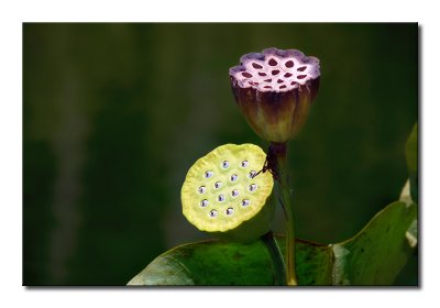 P1260096