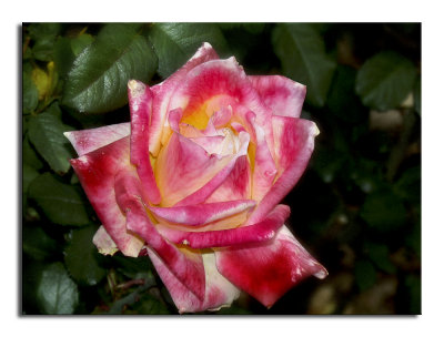 P1310677