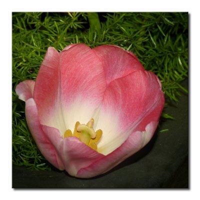 P1330436