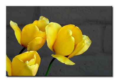 P1330703