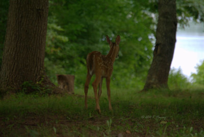 Core Ceek Park