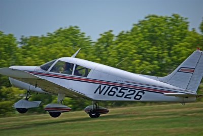 piper - 3