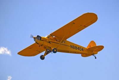 cub - 1