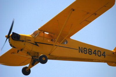 cub - 2