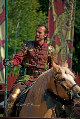 introductions (the good knights)