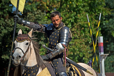 introductions (the good knights)