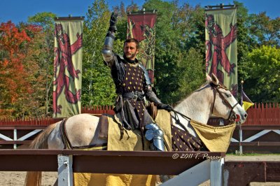 introductions (the good knights)