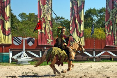 the jousting
