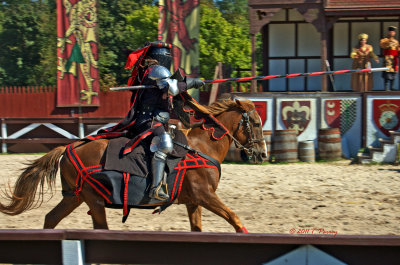 the jousting