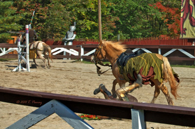 the jousting