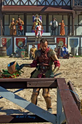 the jousting (oh yeaahhhh . . . that's better)