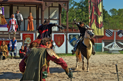 the battle zone (sword fighting)