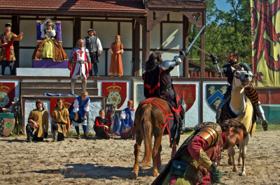the battle zone (sword fighting)