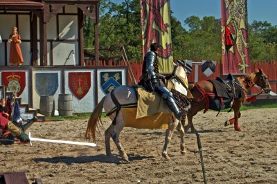 the battle zone (sword fighting)