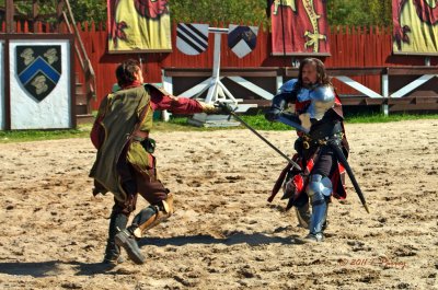 the battle zone (sword fighting)