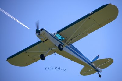 N82169 super cub