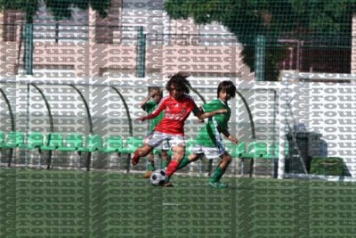 IMG_0506 copy.jpg